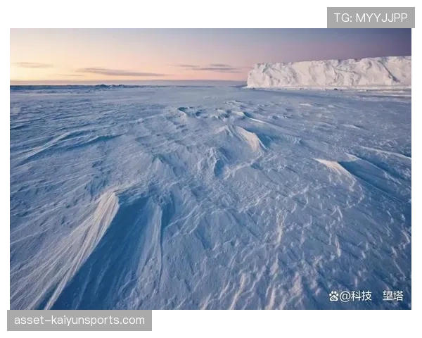 顶级极地探险家的生存：他是如何通过雪层密度判断冰盖稳定性与风险的